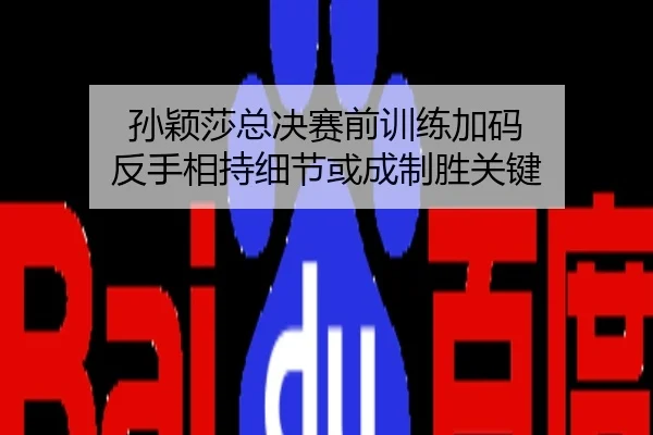 孙颖莎总决赛前训练加码 反手相持细节或成制胜关键